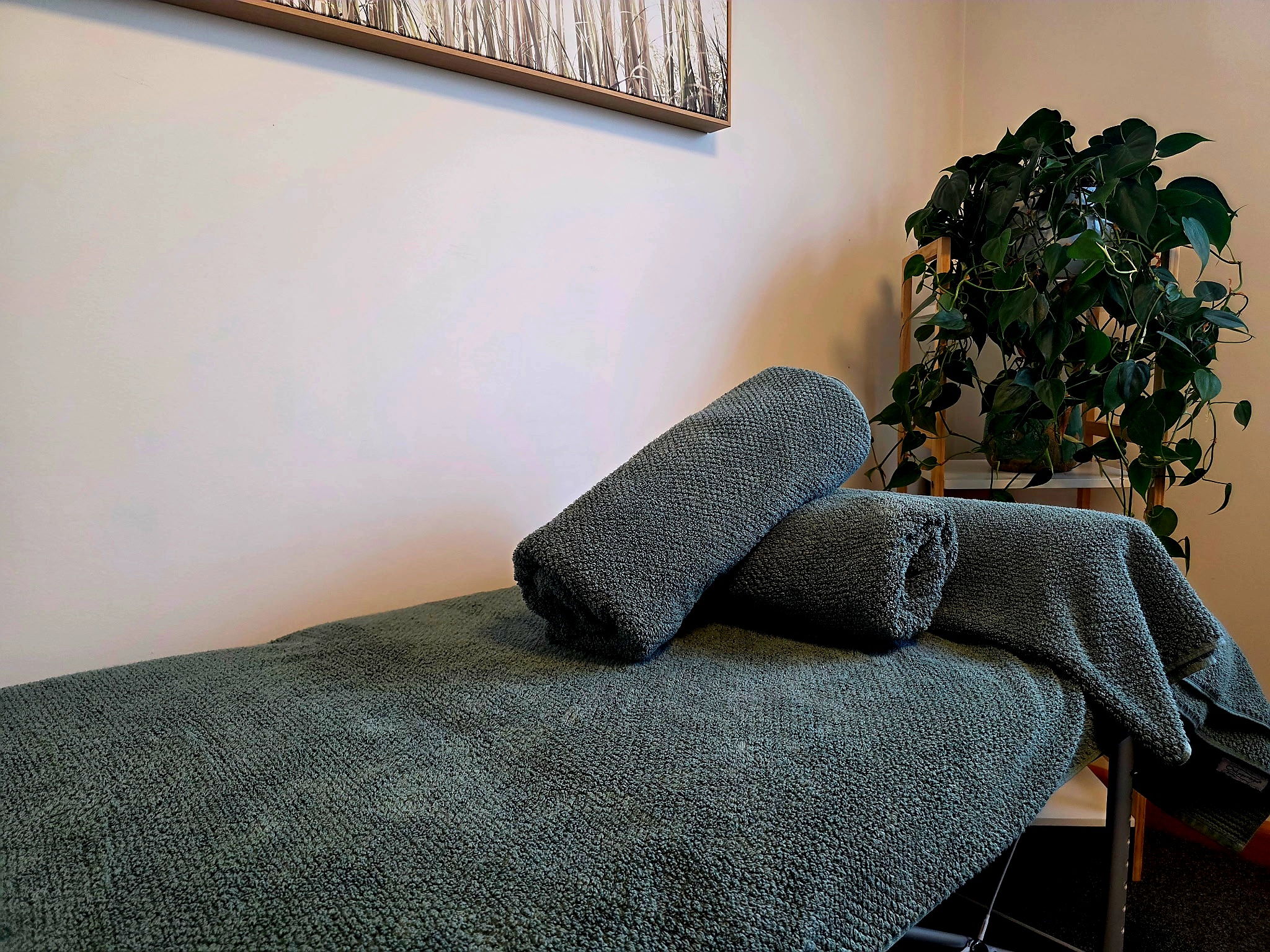 A massage table draped in rich soft cotton green towels made for comfort and durabilty. The toweling is set up ready for a new client to use with 2 towels rolled at the end of the table. A plant finishes the room with warmth and personality allowing nature to provide a calm atmosphere.