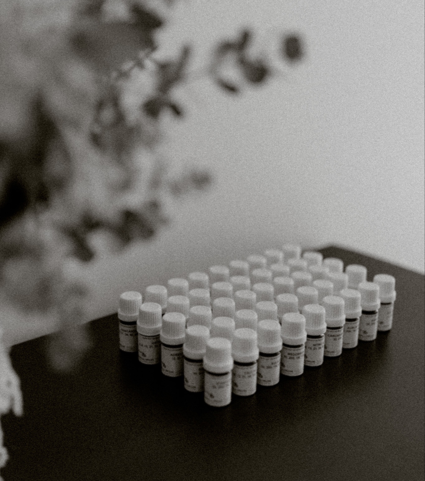 Homeopathic remedy bottles on a desk among a flower arrangement in the homeopathic clinic office for Nikki Hermens, Homeopath, in Latrobe Valley Gippsland