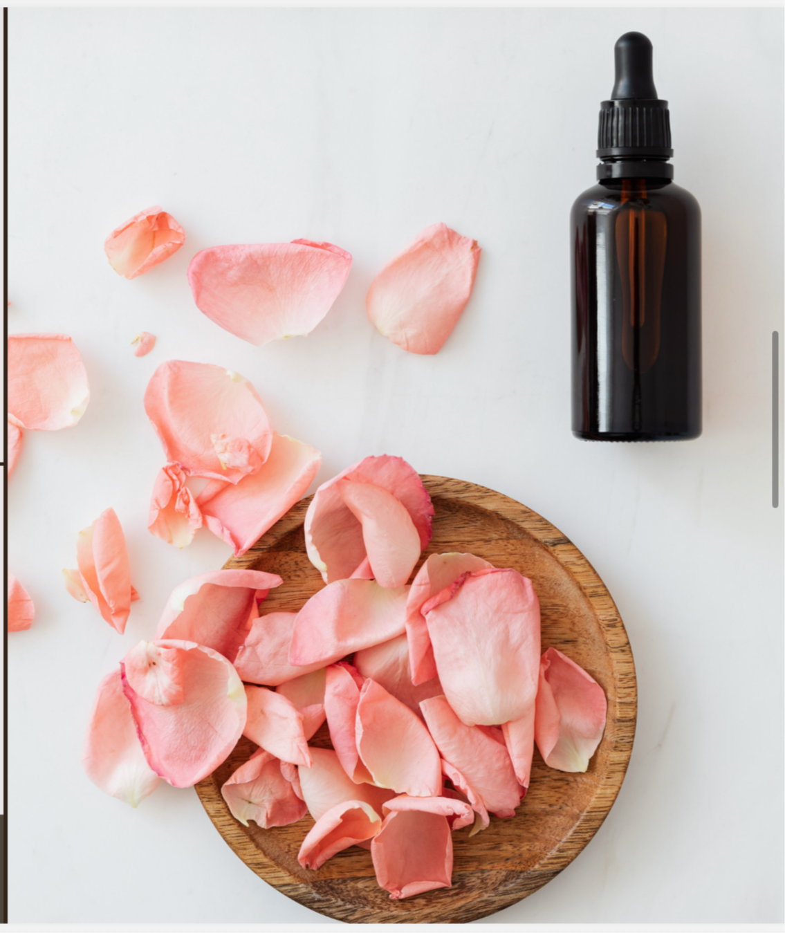 a white background with a homeopathic amber dropper bottle with a black lid laying above a wooden bowl that is scattered with pink flower petals